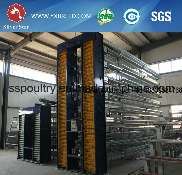 Automatic Bird Broiler Chicken Cage for Sale