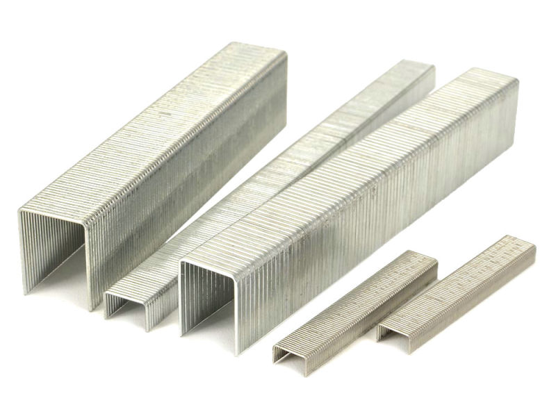 Std23/6 Galvanized Office Staples