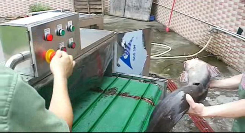 Fish Head Cutting Machine Fish Head Removing Machine