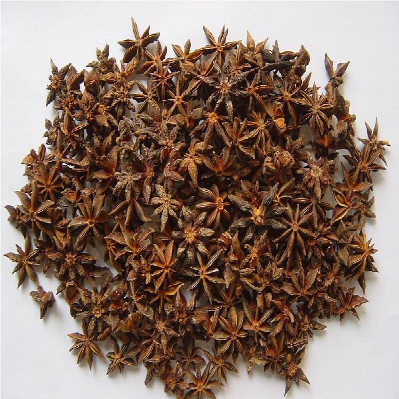 Star Aniseed New Crop Best Price Supplier