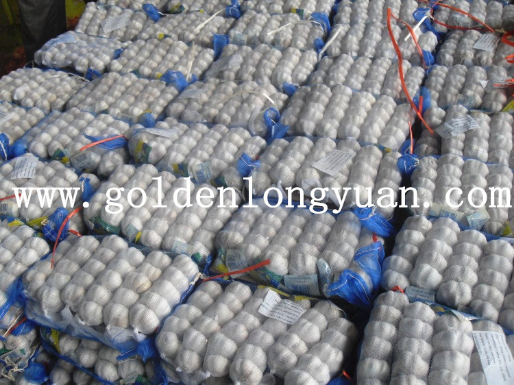 Jinxiang Pure White Garlic From Local Factory