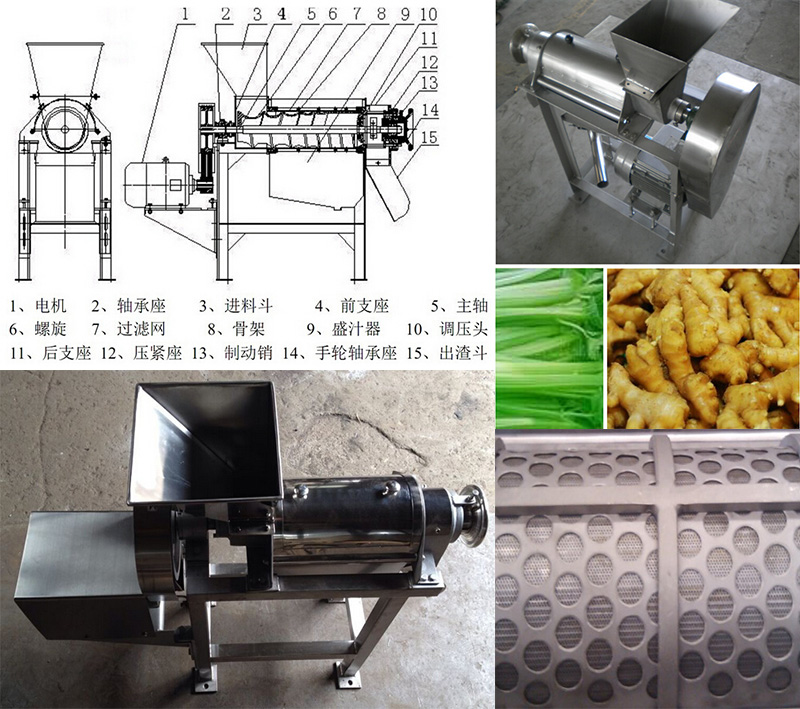 Industrial Juice Extractor Machine Mango Juice Machine