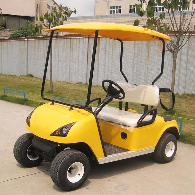 CE Approved China 2 Seat Battery Powered Golf Cart (DG-C2)