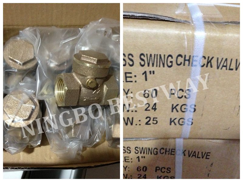 Bronze Swing Check Valve