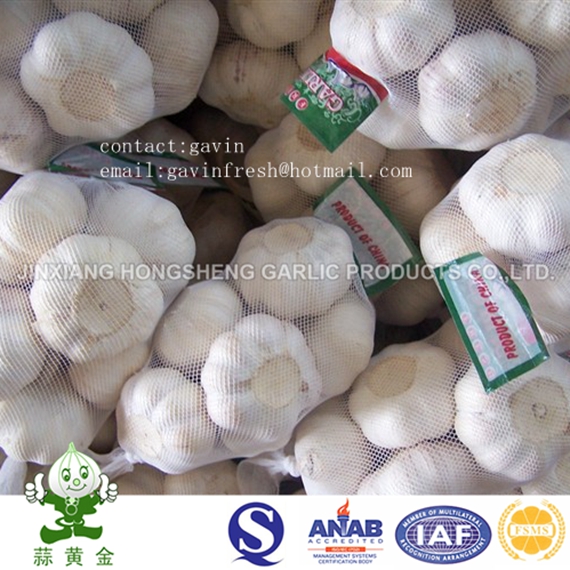 Jinxiang Pure White Garlic New Crop 2016