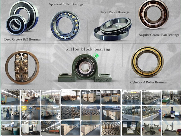 Bearing/Low Noise Ball Bearing/Long Life Thrust Ball Bearing