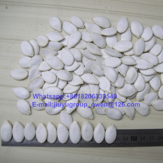 Top Quality Snow White Pumpkin Seeds