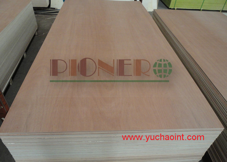 Hot Sale PA/Plb Face Plywood for Algerian Market