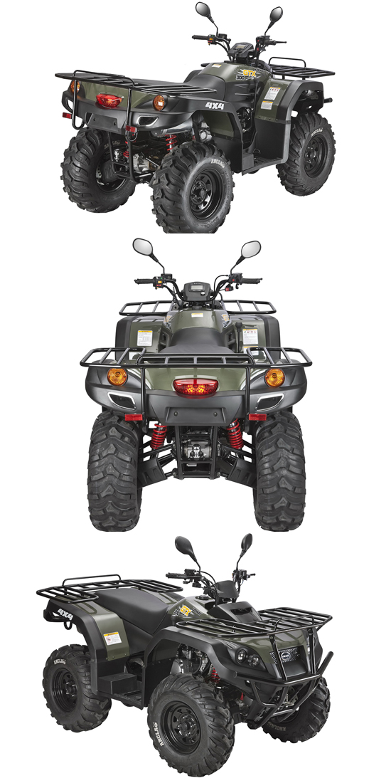 Adults 4X4 ATV Quad Bike 300cc Chinese Brand ATV