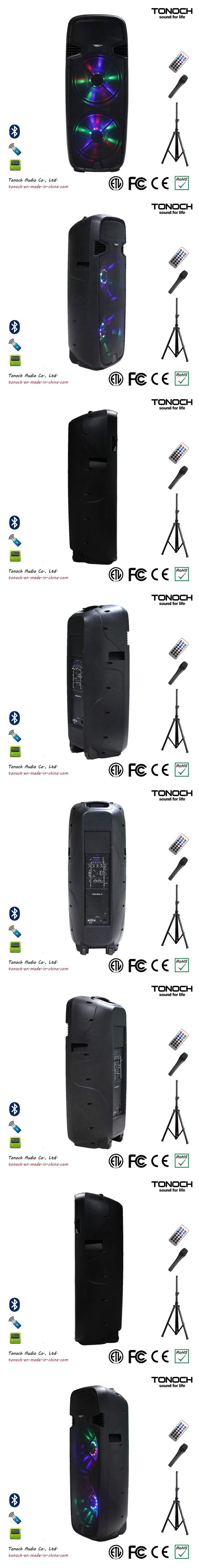 Professional Loudspeaker with Wireless Mics