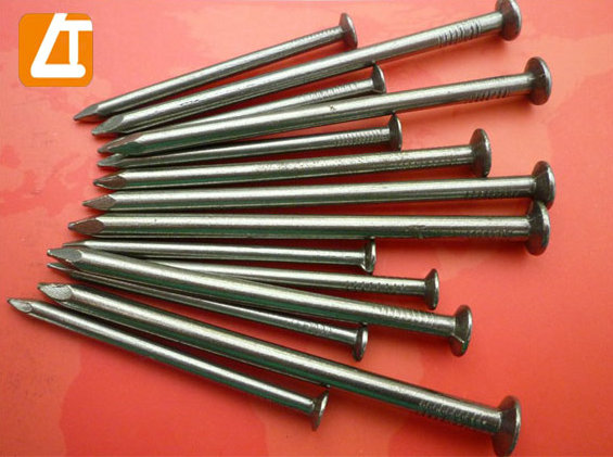 Diamond Point Polished Common Steel Nails