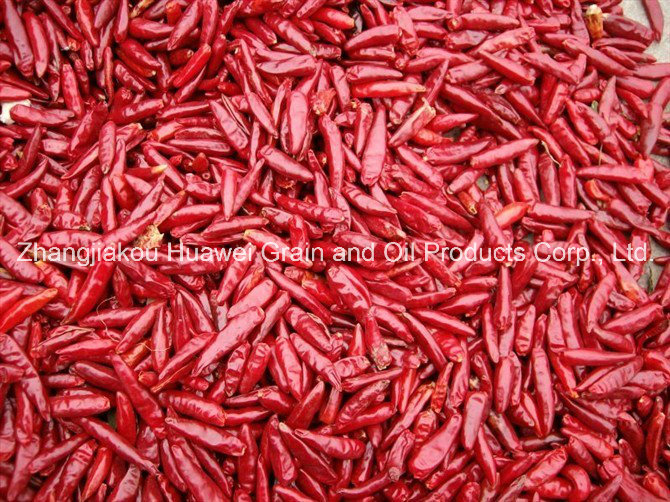 Dried Chili