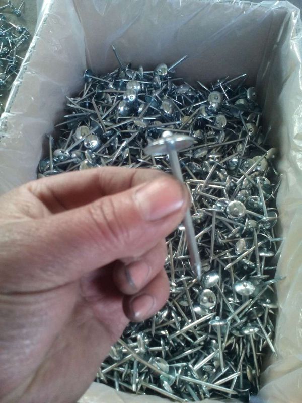 Galvanized Roofing Nail 2.5'' for Construction