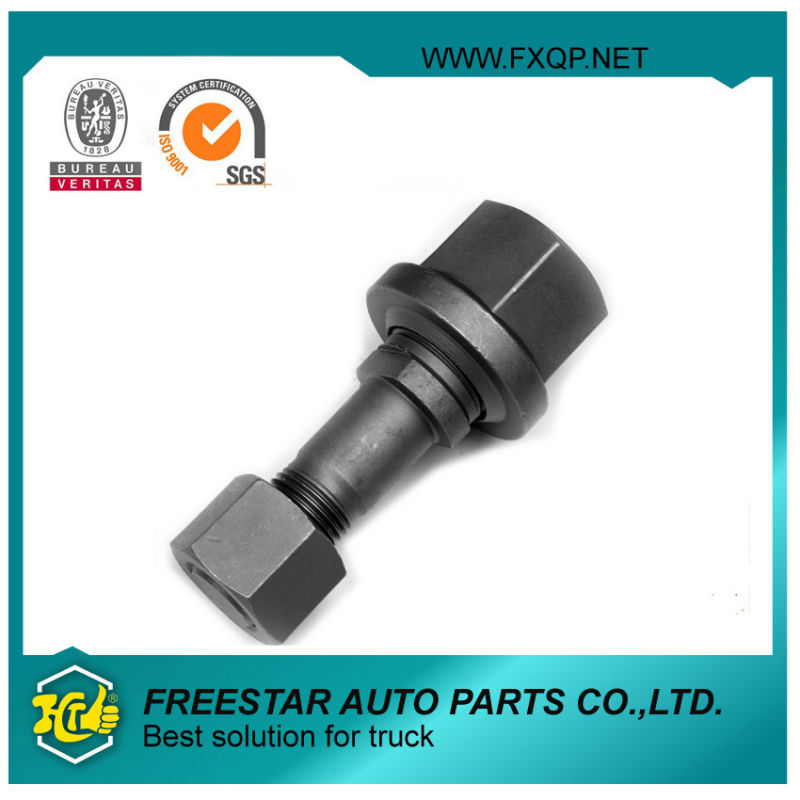 Fxd Universal ISO Certified 10.9 Grade Bolt and Nut for Truck