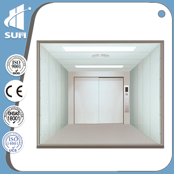 with Machine Room Speed 0.5m/S Cargo Elevator with Ce Certificate