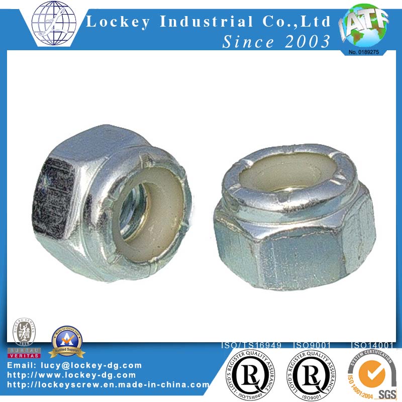 Ss 316 Hex Nylon Lock Nut