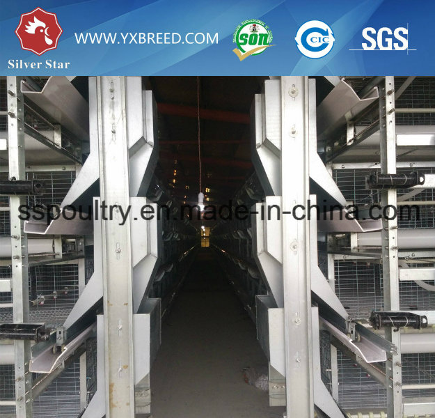 Broiler Chicken Cage Automatic Poultry Equipment for South American Farm