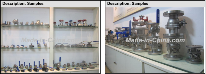 Ts NPT/BSPT/Bsp Stainless Steel 2PC Ball Valve with Lock