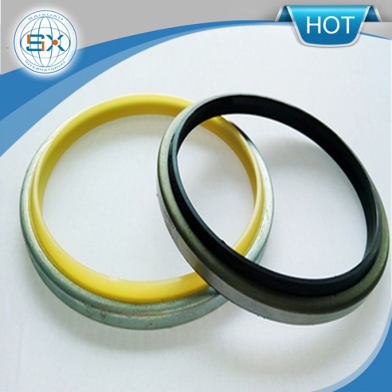 [Stable Supplier] High Quality Oil Resistance Dkb Metal Dust Seal
