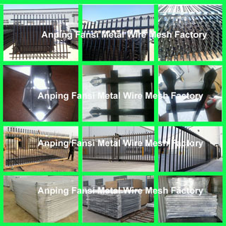 Wrought Iron Ornamental Tubular Fence