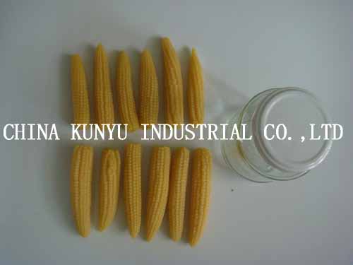 Canned Baby Corn with High Quality