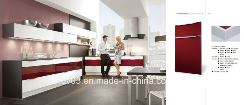 Glossy Kitchen Cabinet Doors with Clients' Requirement Sizes (ZH)