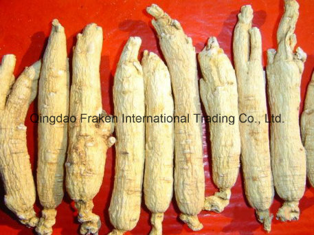 High Quality Low Pesticide White Ginseng Root & Red Ginseng Root