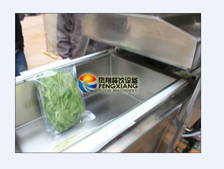 Dz-600 Vacuum Packaging Machine for Food (Vegetable, Sausage, Meat, Bacon Cheese, Tea, Rice etc)