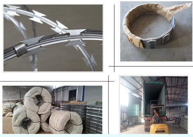 Top Grade High Quality Galvanized Iron Wire