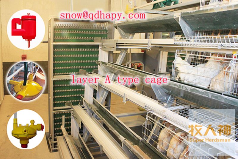 Chicken Cages for Broiler and Layer in Poultry House with Farm Construction