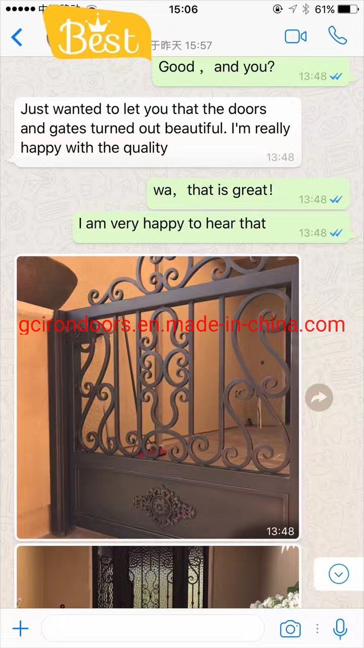 Elegant Design Iron Fence