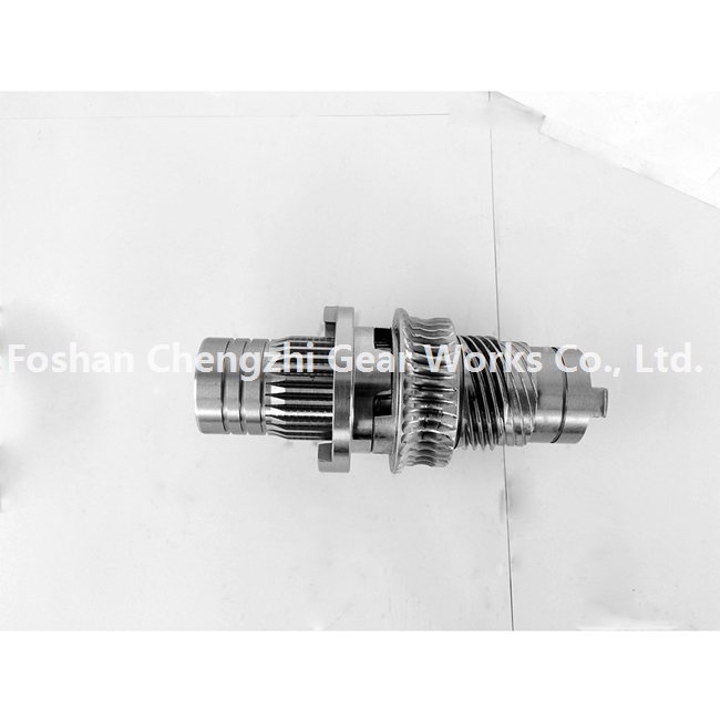 High Precision Customized Transmission Gear Worm Gear for Various Machinery