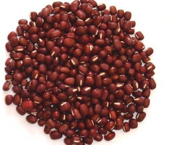 2015 New Crop Good Quality Red Bean