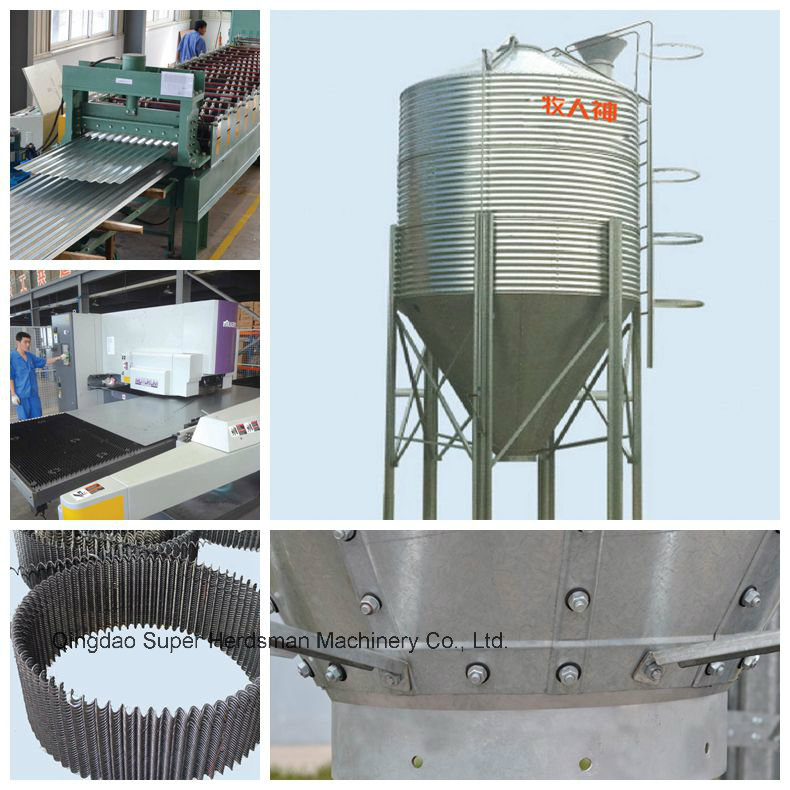 High Quality Automatic Poultry Equipment for Broiler From China