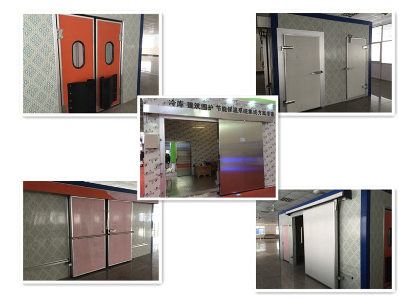 Cold Room Door Sliding Door Double Door