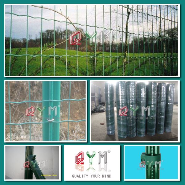 Popular China Fence Welded Euro Mesh