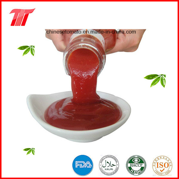 340g Tomato Ketchup with Plastic Bottle Paching