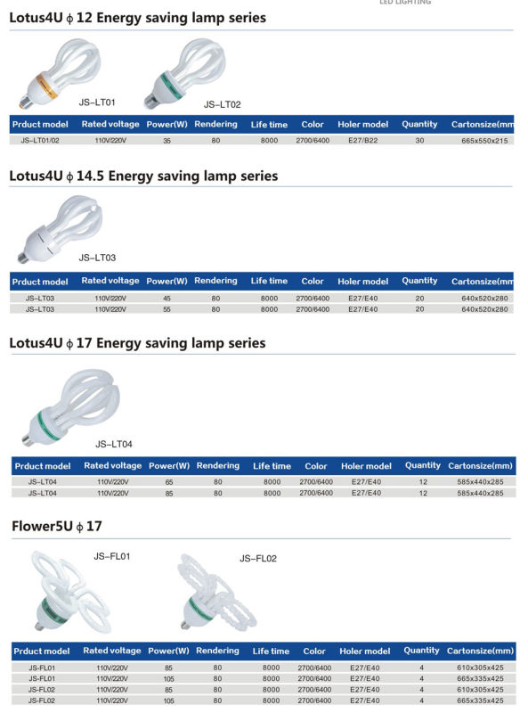 High Quality China Energy Saving Lamp