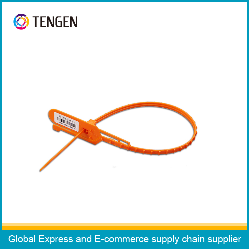 Plastic Sealing Strip Security Seal Type 9