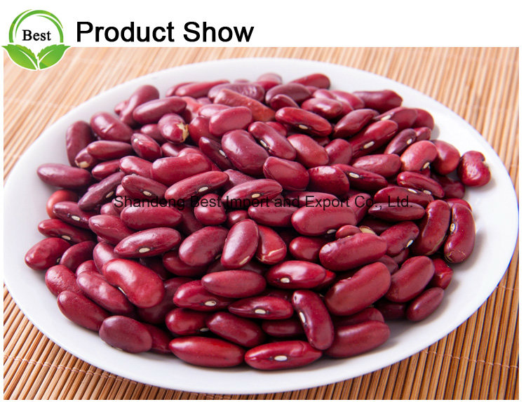 2016 Crop Kidney Beans Dark Red