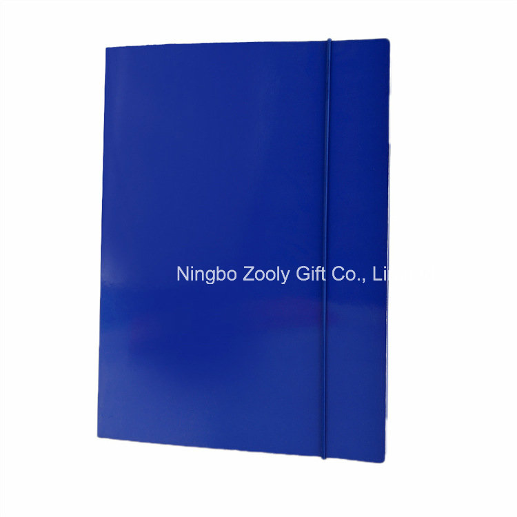 Color Paper A4 Twin 2 Pockets Presentation Paper File Folder