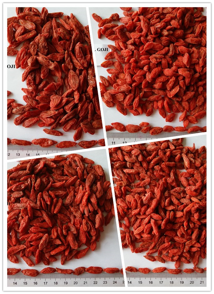 High Quality Dried Chinese Medlar Fruit