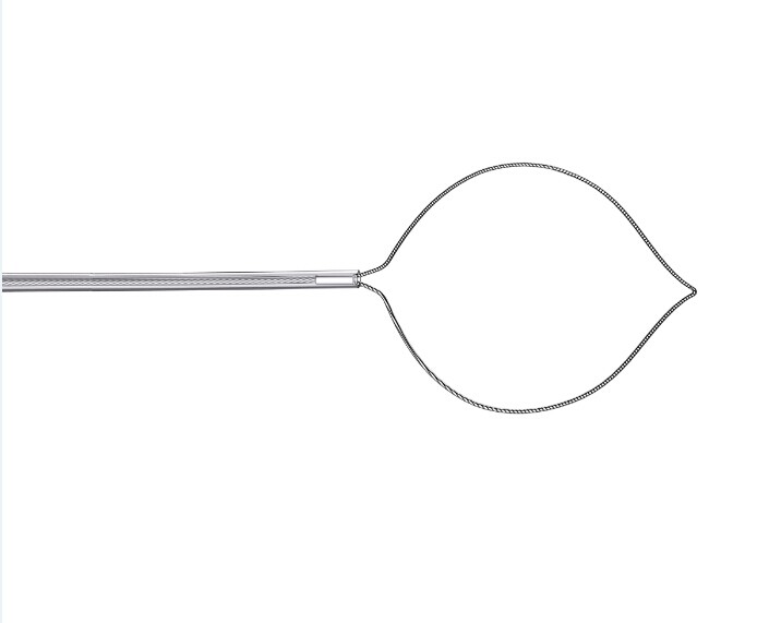 Flexible Polyp Snare Single Use with FDA and CE