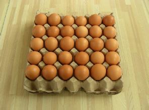 Small Output Egg Carton Machine