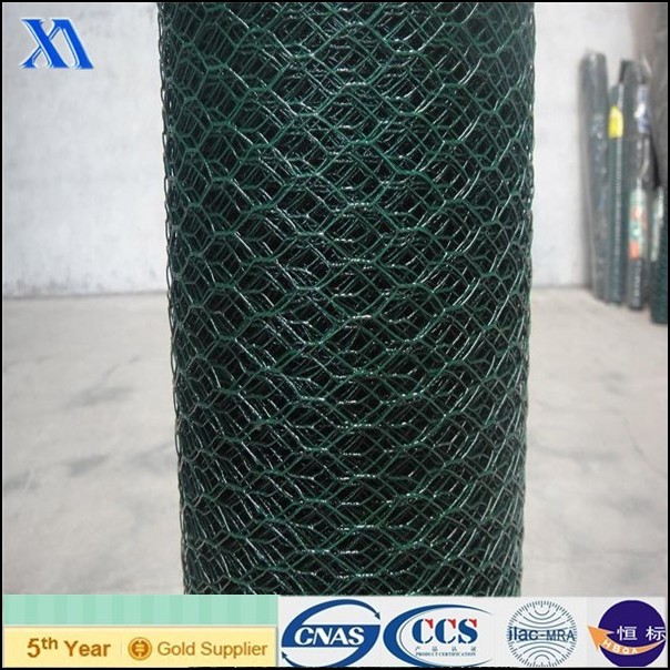 PVC Green Wire Garden Chicken Wire Netting (XA-HM415)