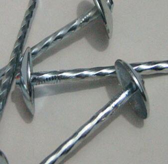 Manufacturer Supply Good Quality and Best Price Umbrella Roofing Nails