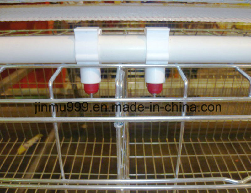 Broiler Chicken Breeding Cage with Automatic Poultry Farm Equipment