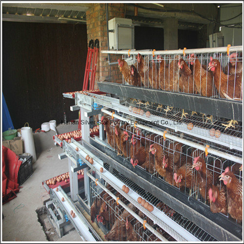 Chicken Layer Battery Cage A3l90