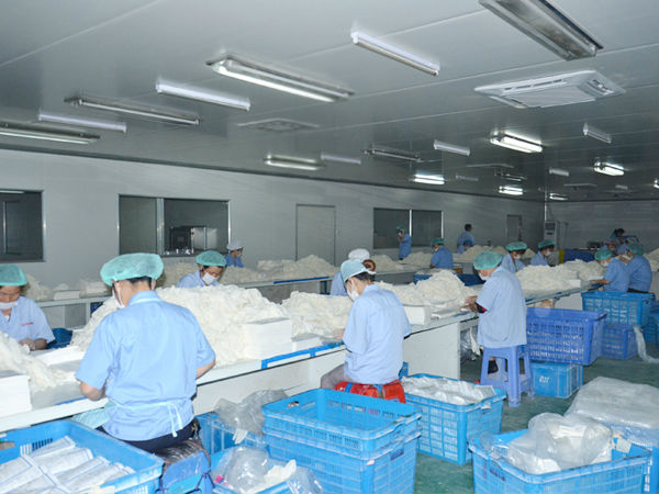 9''-11'' Disposable Latex Surgical Gloves with Most Competitive Price