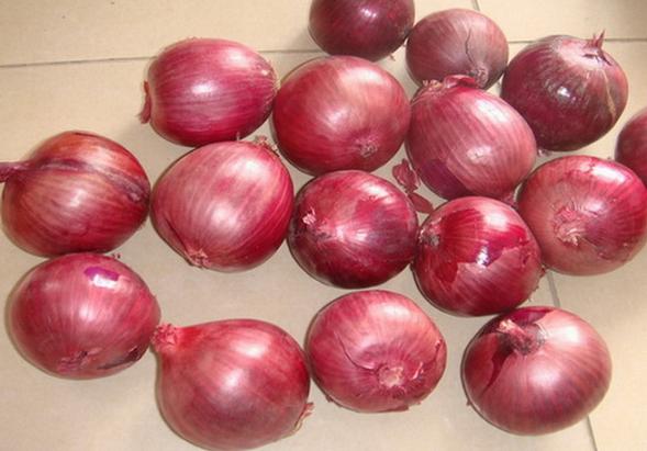 Competitive Quality Fresh Yellow Onions (5-8cm)